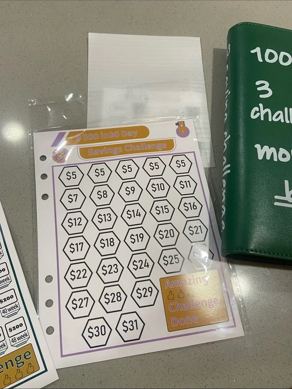 Money Saving Challenge Book